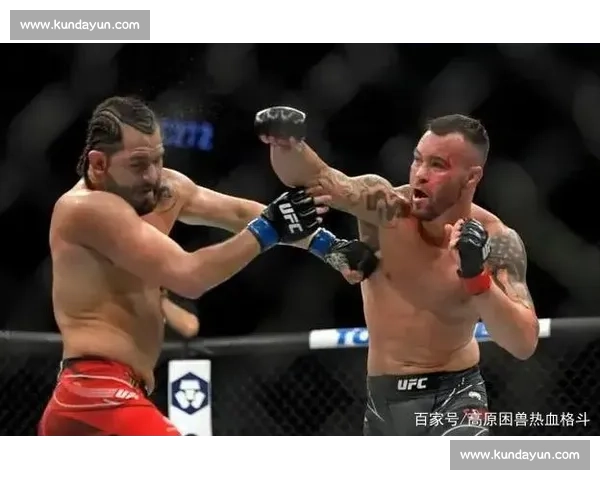 UFC巅峰对决：锤子与温顿的力量与智慧较量全纪录